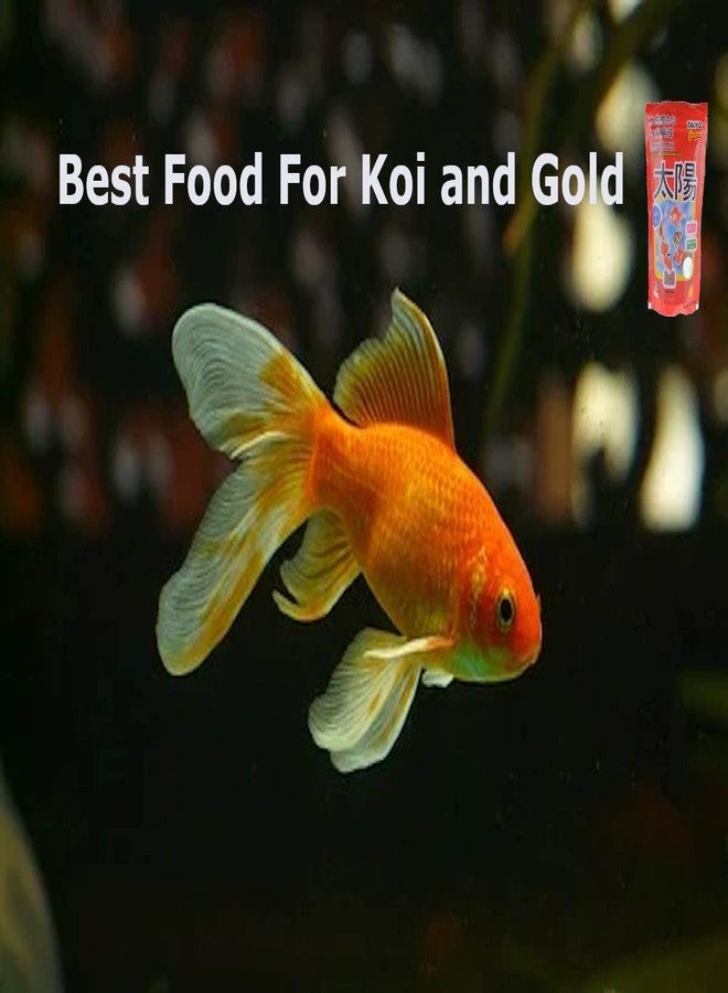 TAIYO Grow Fish Food Pouch, 100 g - Image 4